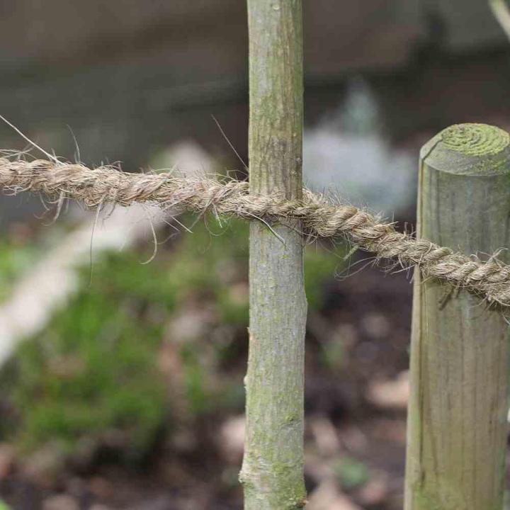 Immagine prodotto Siena Garden Filato di cocco in fasci 15 m (1500 cm, 0.50 cm)