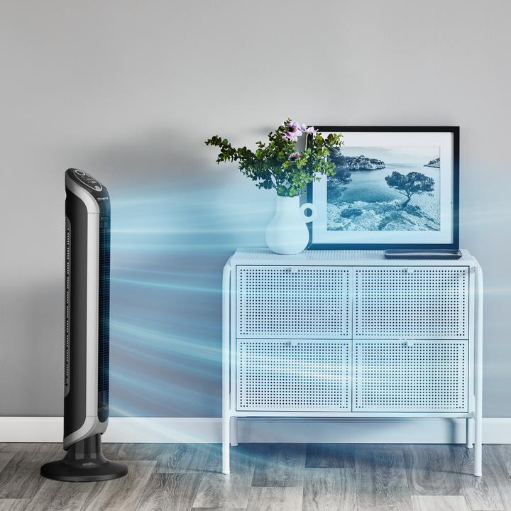 Actual product image Rowenta Eole Infinite (57 dB)