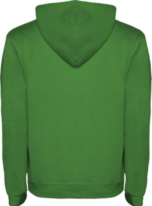 Actual product image Alpinia Mens Urban Hoodie (XL)