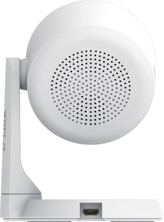 Actual product image D-Link DCS-8325LH (1920 x 1080 Pixels)
