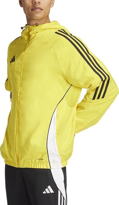 Actual product image adidas TIRO24 WB (M)