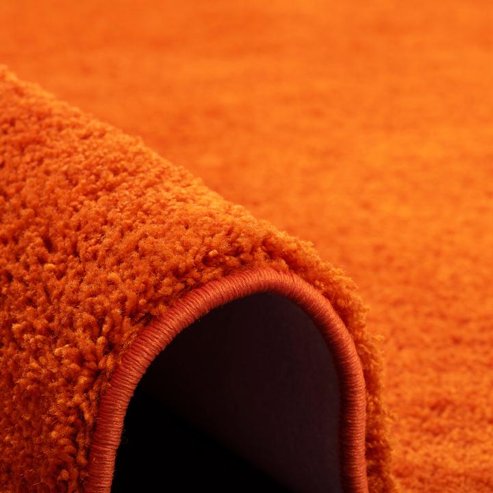 Image du produit Snapstyle Palais du tapis à poils longs (100 x 200 cm)
