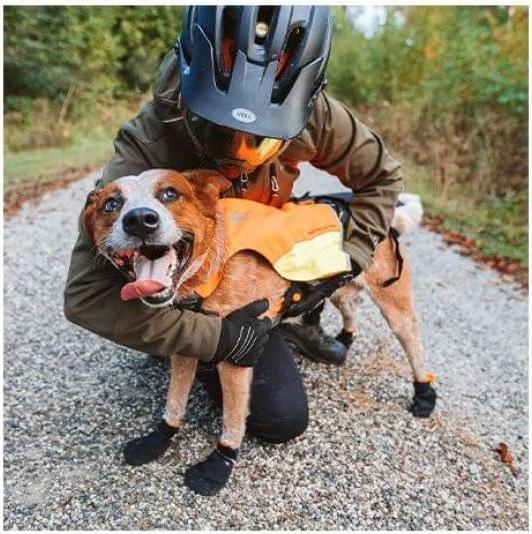 Produktbild Non-Stop Dogwear Protector Booties (XL, Hundeschuhe)