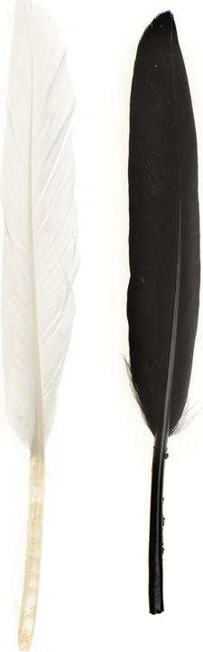 Immagine prodotto Glorex Piuma indiana 13cm ca.15pz nero/bianco