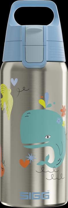 Whale Friend