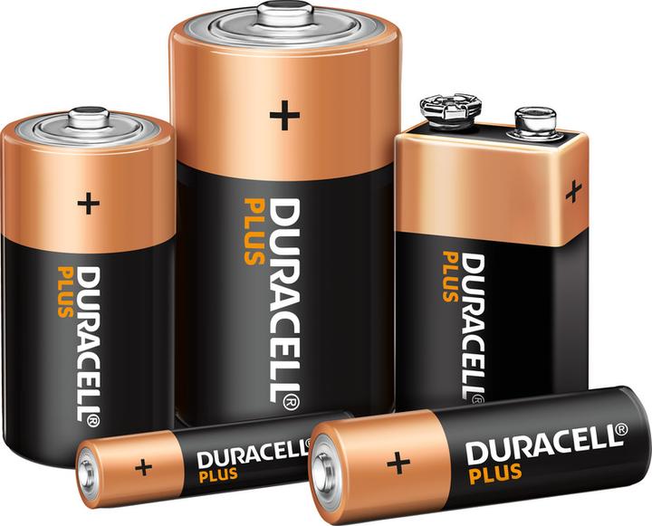 Actual product image Duracell Plus (4 pcs., AA, 2600 mAh)