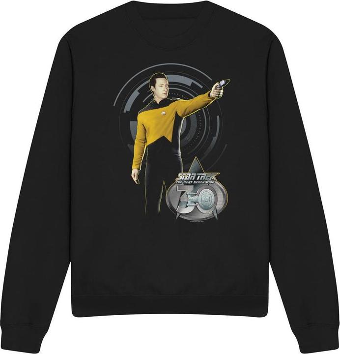 30 Sweatshirt (L)