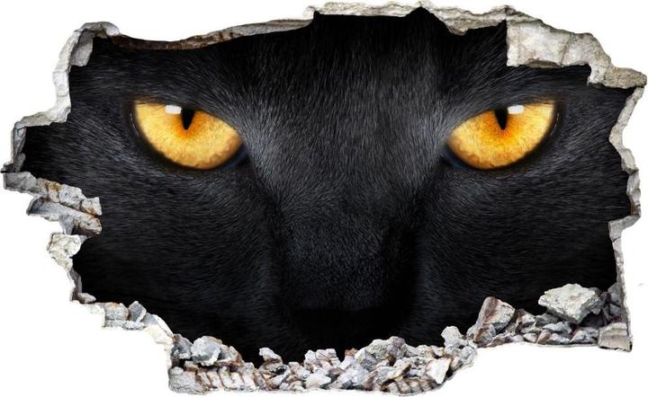 Produktbild Trenddeko 3D Katzenaugen (36 x 60 cm)