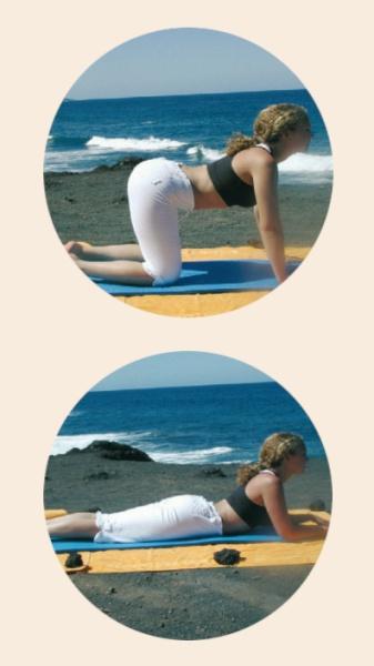 Immagine prodotto Yoga per principianti (DVD, 2003, Tedesco)