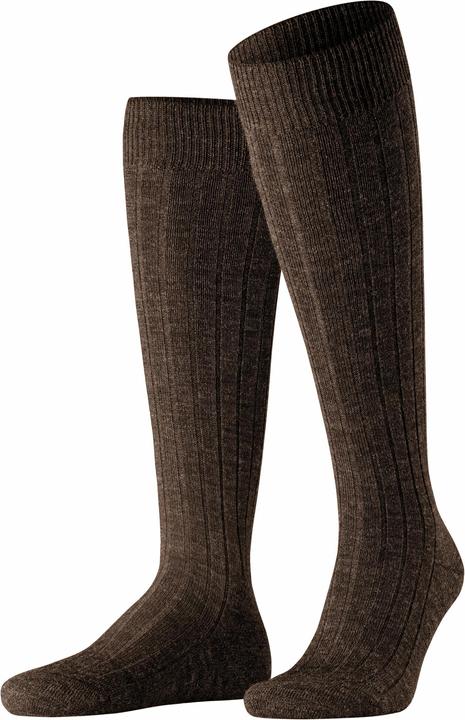 Falke Teppich im Schuh KH