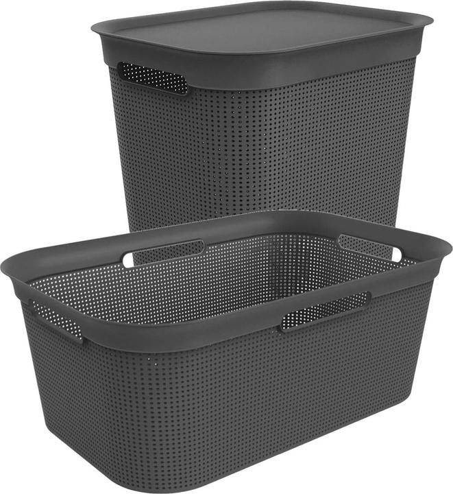 Rotho Set of 2 underwear BRISEN (50 l)