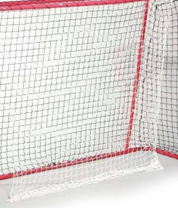 Image du produit Hudora 1 filet de réception (unihockey)