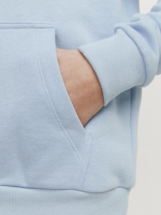 Image du produit Jack & Jones Jjecaleb Varsity Sweat Hood Noos Jnr (164)
