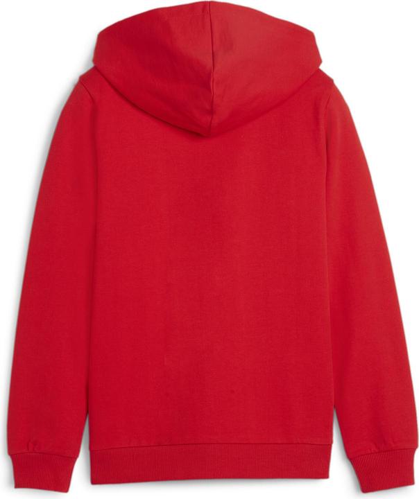 Actual product image Puma teamGOAL Casuals Hooded Jacket Jr (128)