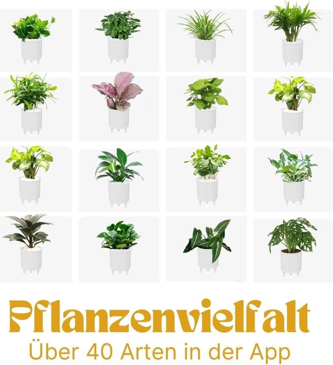 Produktbild Hermex Elektronischer Blumentopf Smarter Blumentopf (11 cm)