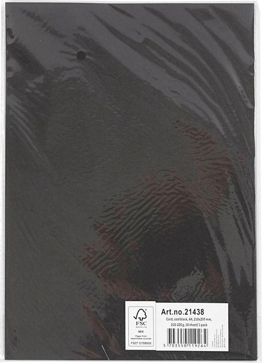 Immagine prodotto Creativ Company Cartone colorato (220 g/m², 10 x)