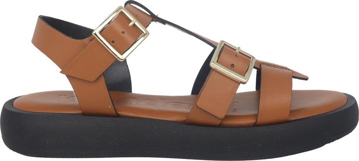 Actual product image Wonders Luz (39)