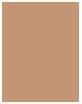 Produktbild Bourjois Healthy Mix Clean & Vegan Radiant Foundation (55N Deep Beige)