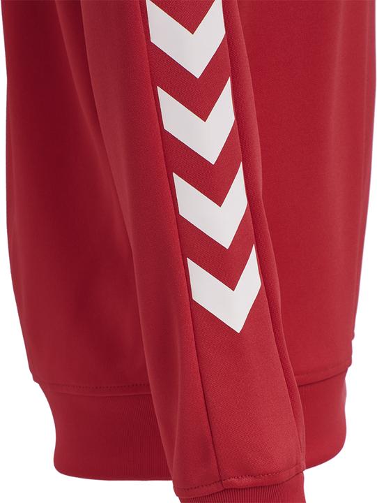 Image du produit hummel Promo Kids Poly Hoodie (176)