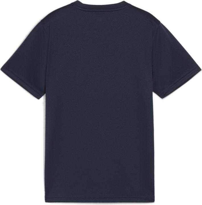 Actual product image Puma teamGOAL Jersey Jr (116)
