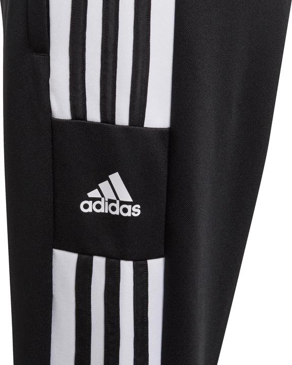 Actual product image adidas Squadra 21 Training Pants Kids (140)