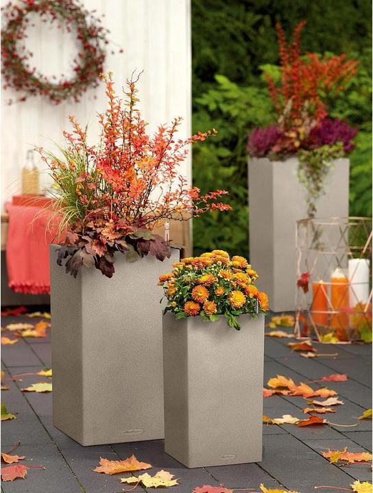 Image du produit Lechuza Canto Stone (40 cm)