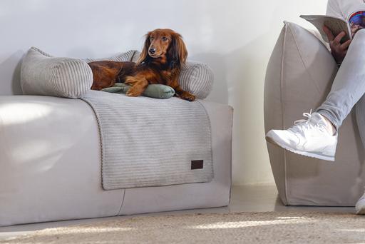 Image du produit Designed by Lotte Ribbed (Chien)