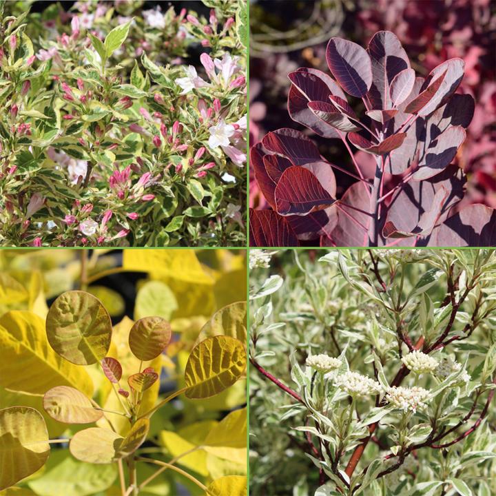 Actual product image Zulauf Rear set: Leaf variety (100 cm)