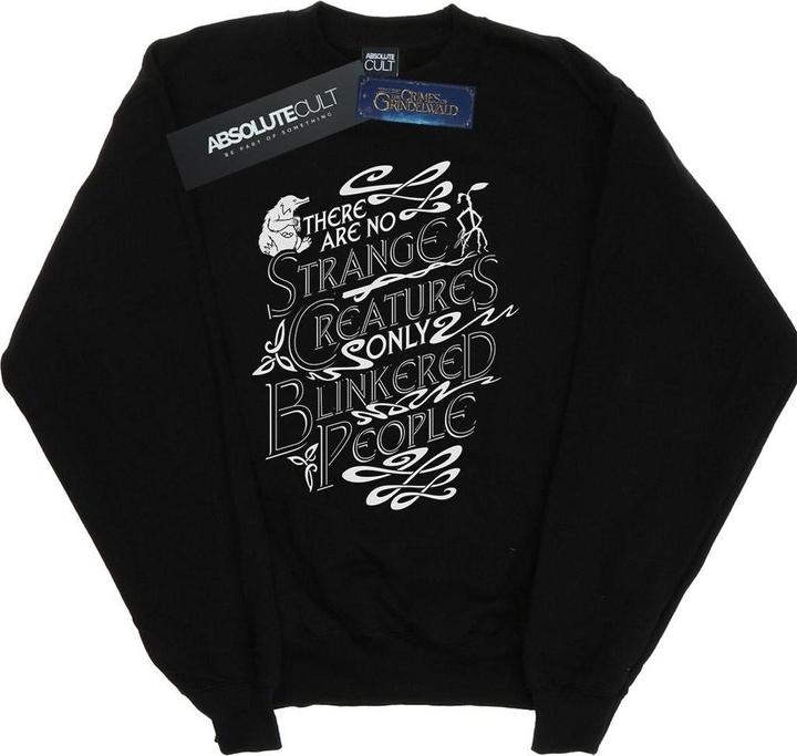 Produktbild Fantastic Beasts Strange Creatures Sweatshirt (M)