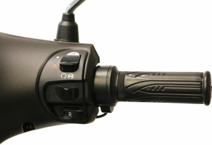 Actual product image ecoro Syra 90S (95 km/h, 5500 W)