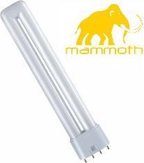 Produktbild Mammoth Leuchtmittel 36 Watt 2700 Kelvin (230 V) (LED, 230 V)