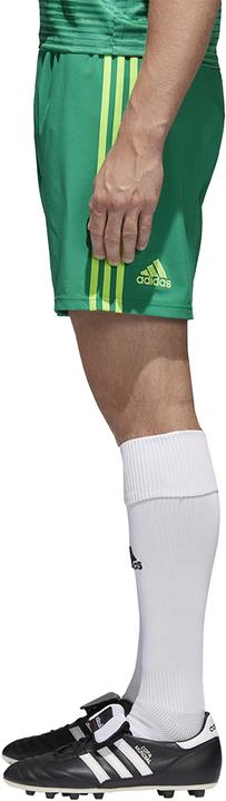 Actual product image adidas Condivo 18 Short (S)