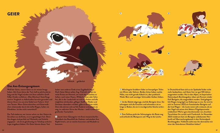 Image du produit Tessloff Stinker, Sauger, Schleimer. 22 grossartige Gruseltiere (Allemand, Katja Trippel, Ole Häntzschel, 2024)