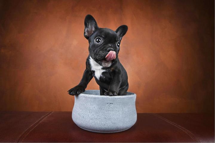 Actual product image Laboni Rocky Jr. (1.50 l)
