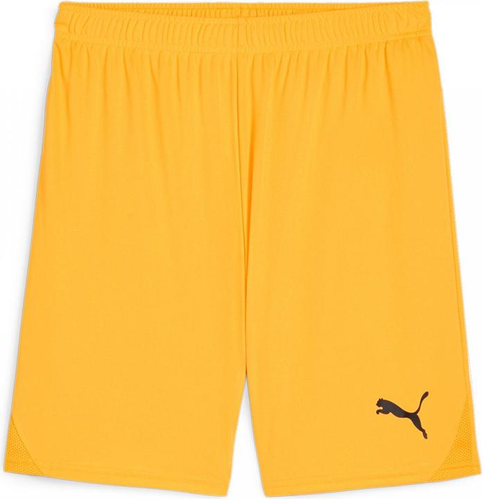 Produktbild Puma teamGOAL Shorts (XL)