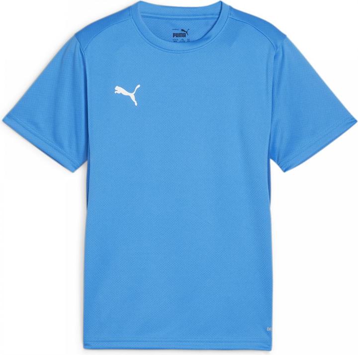 Produktbild Puma teamGOAL Jersey Jr (164)