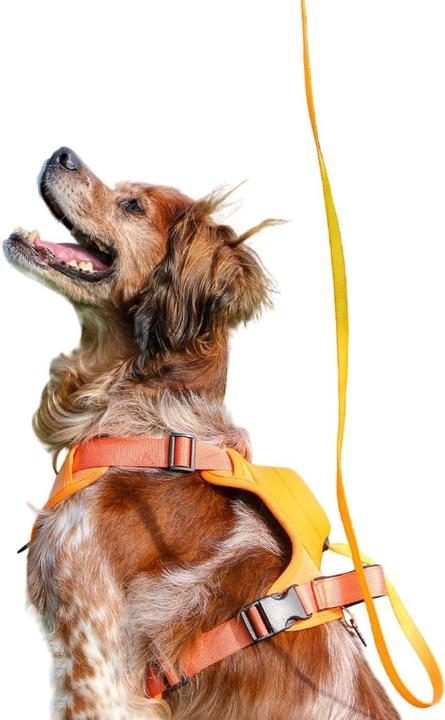 Actual product image Ancol Extreme Hybrid Dog Harness And Lead Set (XL, Dog, General)