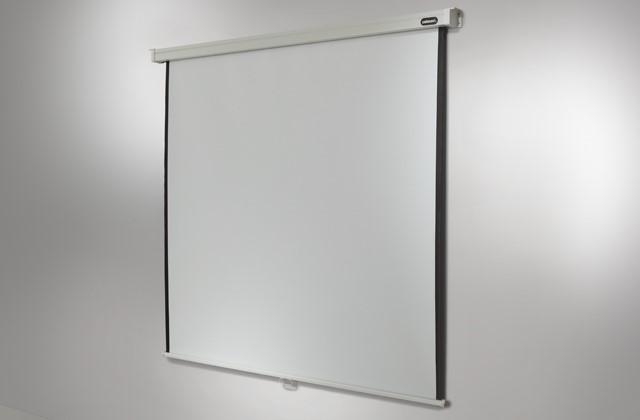 Actual product image Celexon Rollo Professional, screen, 1:1 (97.24", 1:1)