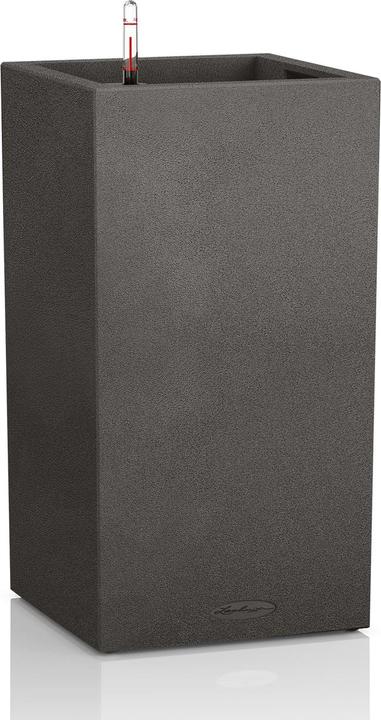 Image du produit Lechuza Canto Stone (40 cm)