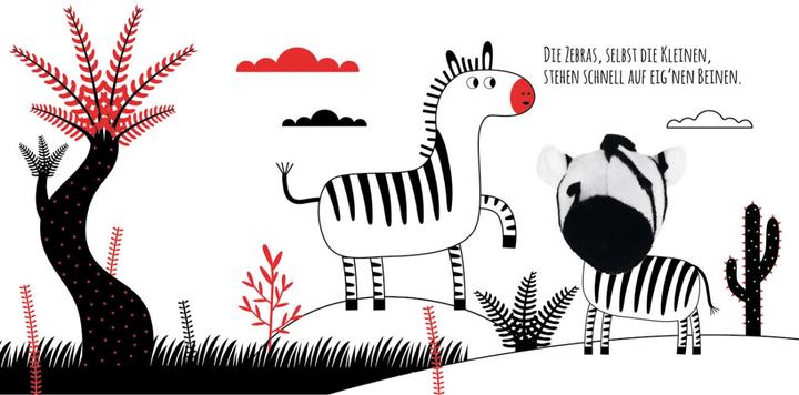 Produktbild Kontrastbuch für Babys Guck mal, kleines Zebra (Deutsch)