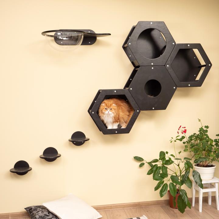 Image du produit Wowhelperco Aire de jeux murale pour chats 8 pièces (Noir)
