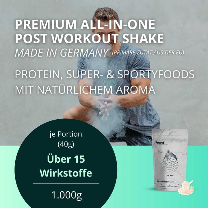 Produktbild Brandl-Nutrition Pulver Post Workout (Zimt, 1 Stk., 1000 g)