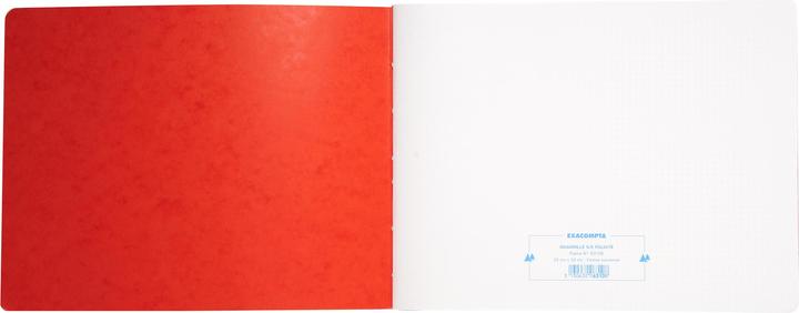 Immagine prodotto Exacompta Libri contabili (25 x 32 cm, Quadretti, Copertina rigida)