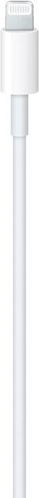 Actual product image Apple USB-C – Lightning (1 m, USB 2.0)