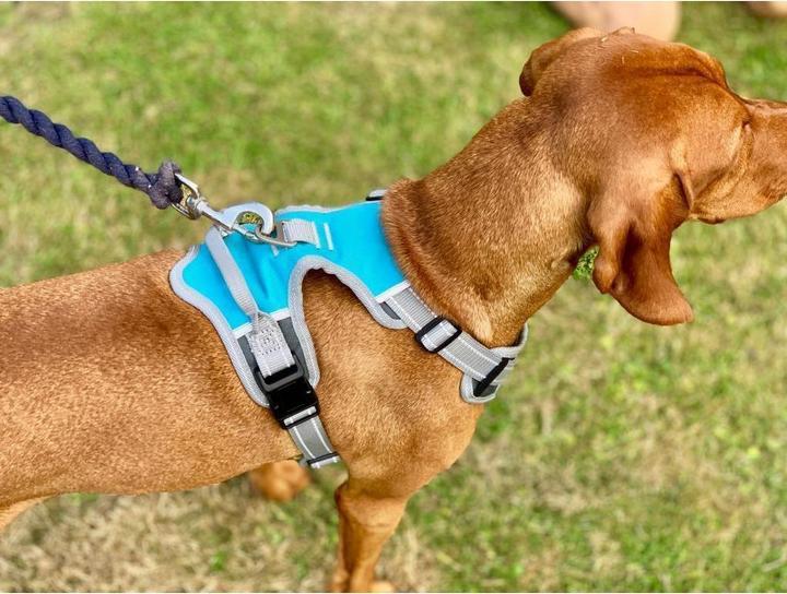 Image du produit Henry Wag Harnais pour chien Voyage (M, Chien, Général)