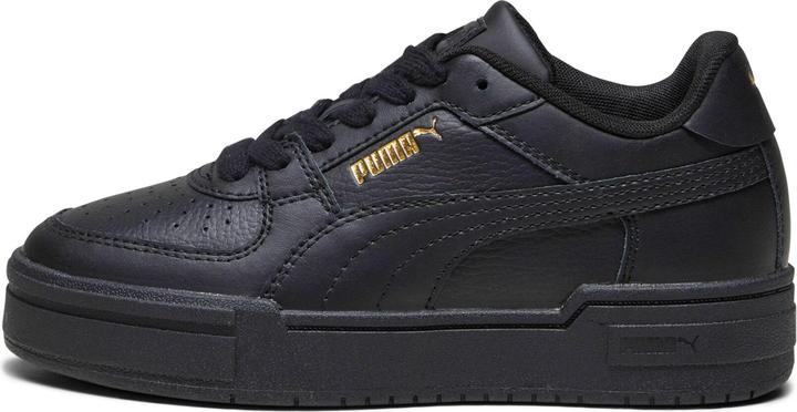 nero-puma, Nero