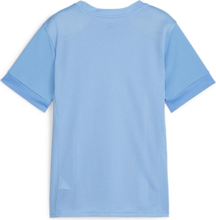 Actual product image Puma teamGOAL Matchday Jersey jr (152)