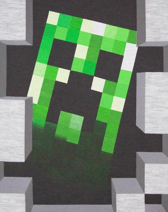 Image du produit Minecraft T-shirt (104)