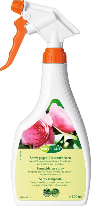 Produktbild Mioplant Spray gegen Pilzkrankheiten (Pilze)