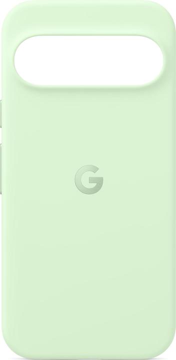 Google Case (Google Pixel 9 Pro, Google Pixel 9)